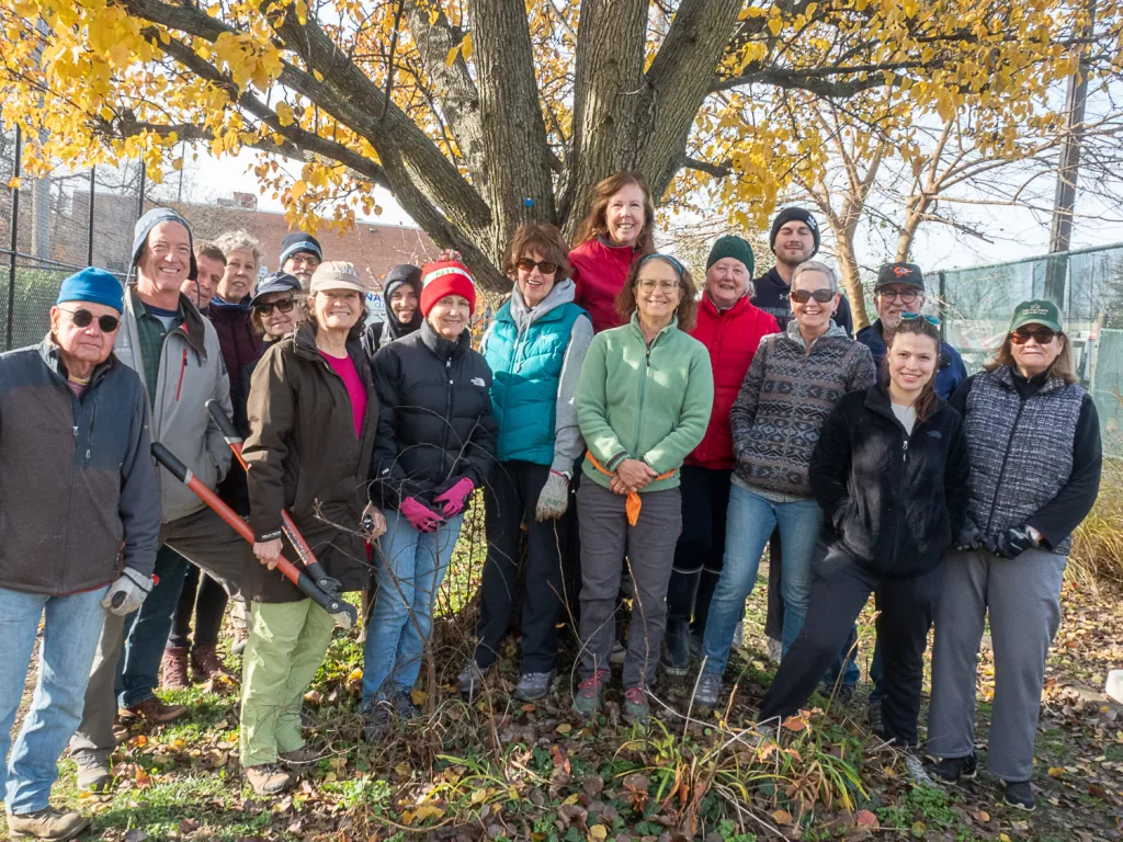 group of volunteers