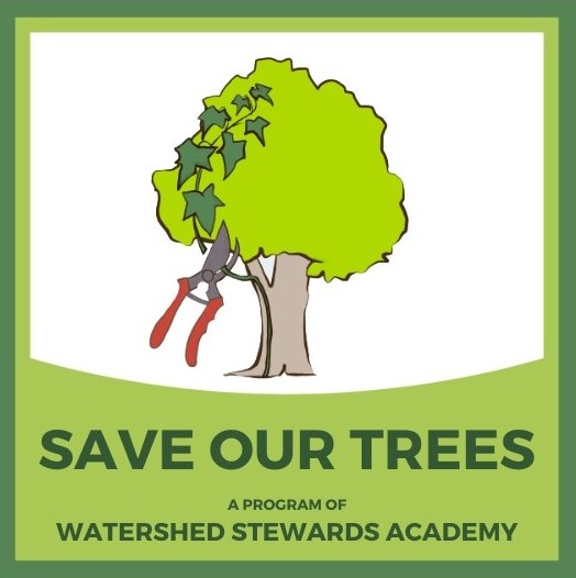 Save Our Trees