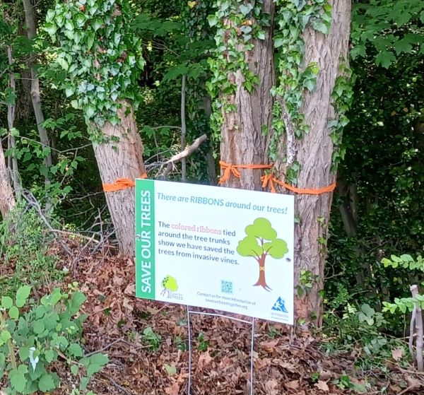 sign and ribbons around trees