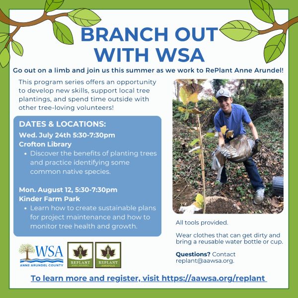 Branch Out with WSA