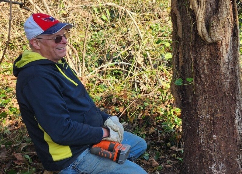 volunteer removing vines