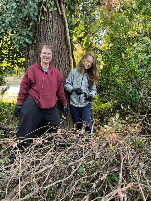 ivy clearing volunteers