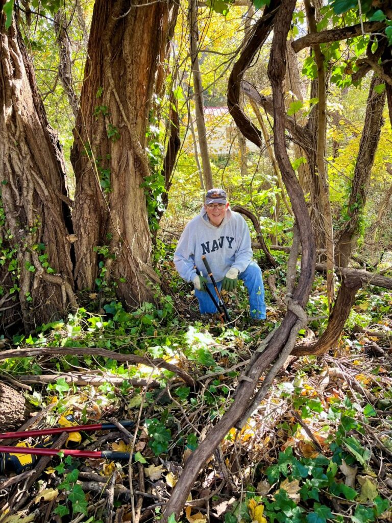 volunteer removing ivy from trees