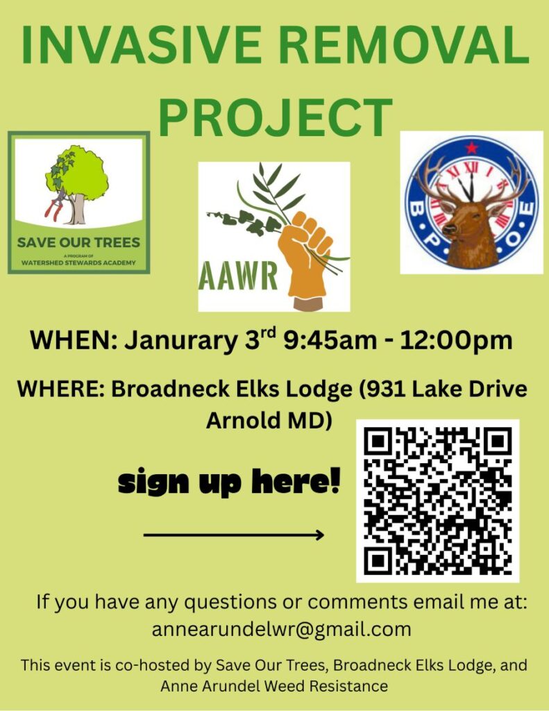 Broadneck Elks Lodge Invasive Removal Event