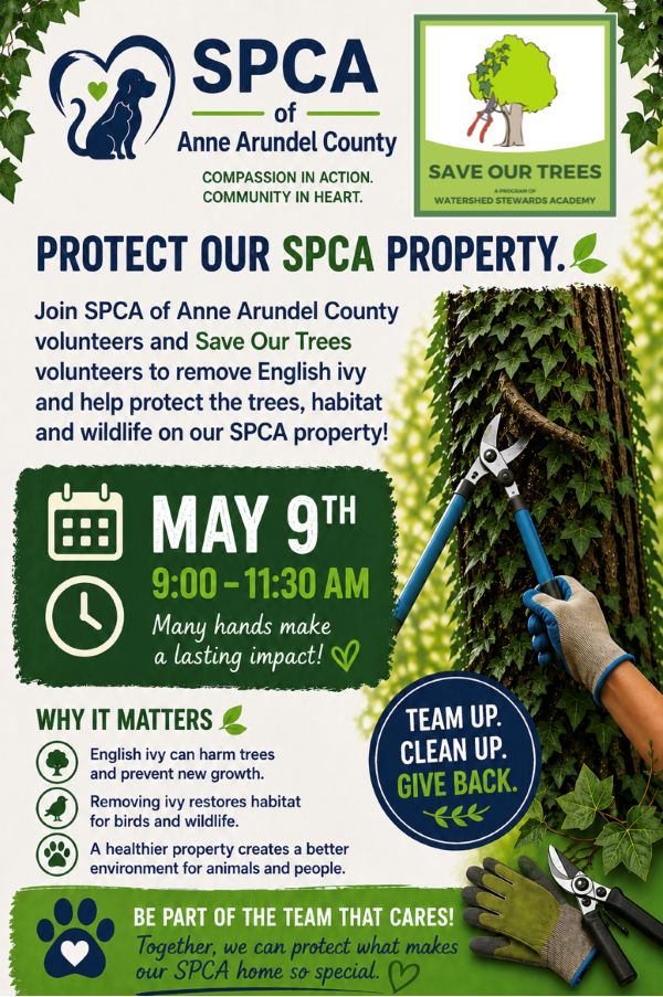 Protect our SPCA property