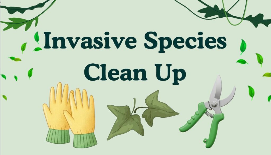 Invasive Species Clean-up